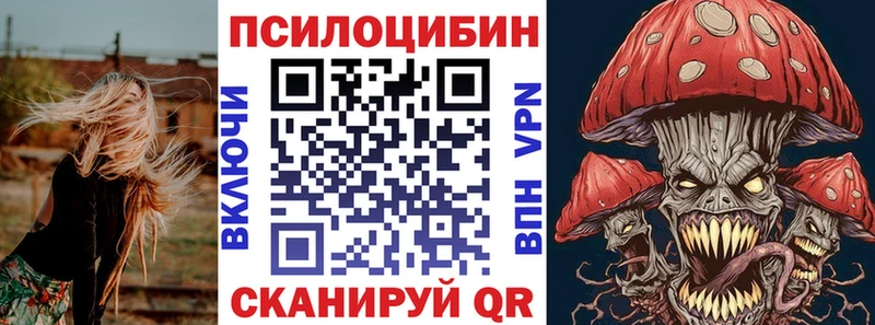 как найти   Шилка  Псилоцибиновые грибы мицелий 